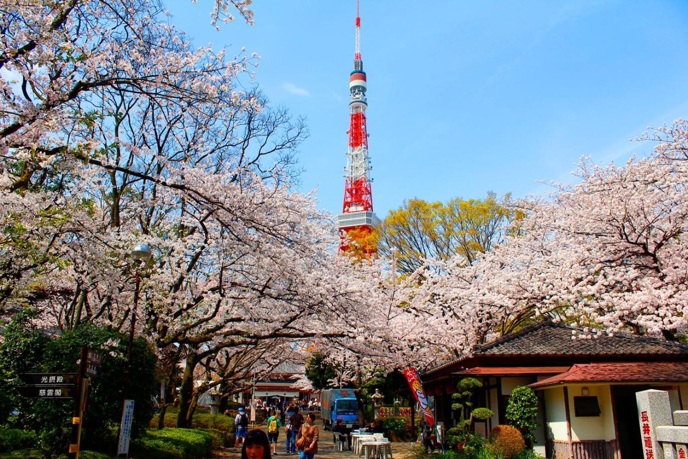Rose Stay Tokyo Shiba Park Экстерьер фото